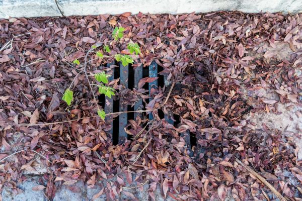 Cost of Yard Drain Unclogging in Saint Petersburg