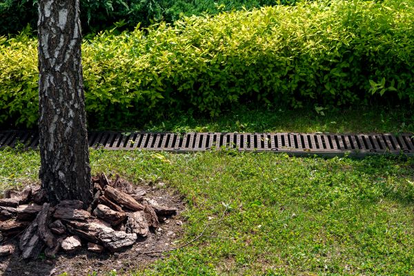 Cost of Yard Water Redirection in Saint Petersburg
