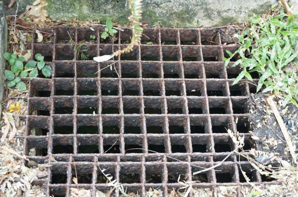 Cost of Yard Drain Cleaning in Saint Petersburg