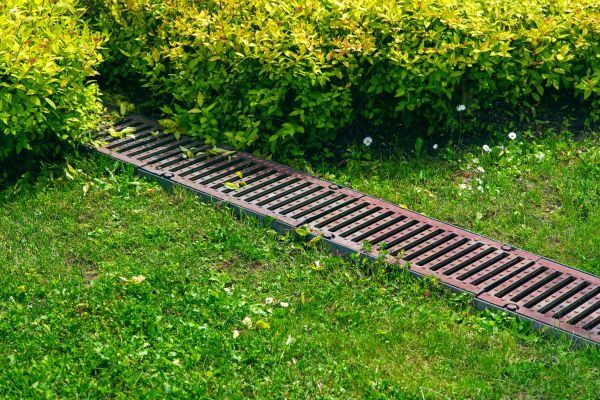Cost of Yard Drainage Installation in Saint Petersburg