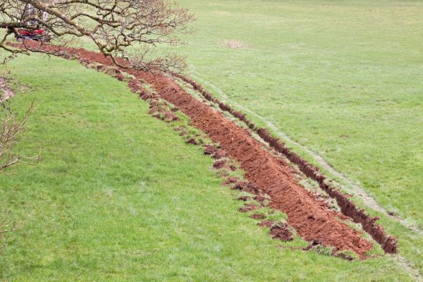 Cost of Swale Installation in Saint Petersburg
