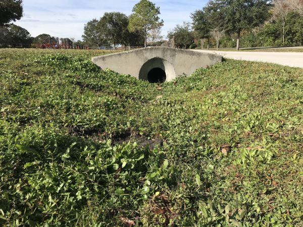 Cost of Swale Drainage Service in Saint Petersburg