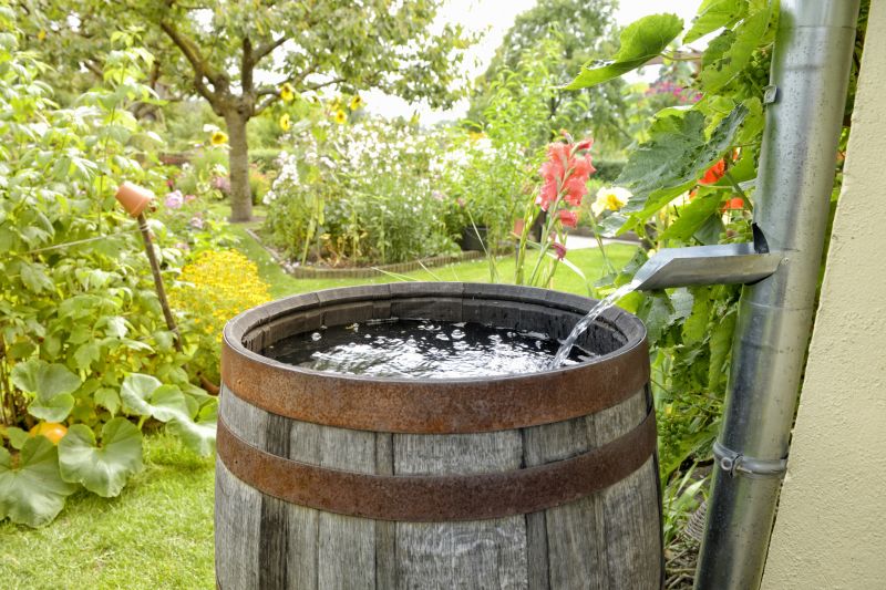Rainwater Harvesting